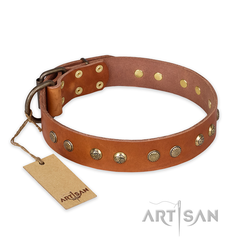 "Spring Flavor" FDT Artisan Adorned Leather English Bull Terrier Collar with Old Bronze-Plated Engraved Studs