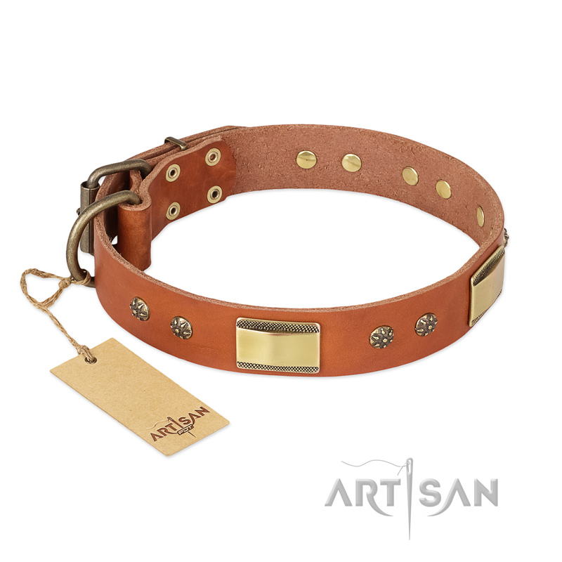 "Enchanting Spectacle" FDT Artisan Tan Leather English Bull Terrier Collar with Old Bronze Look Plates and Round Studs