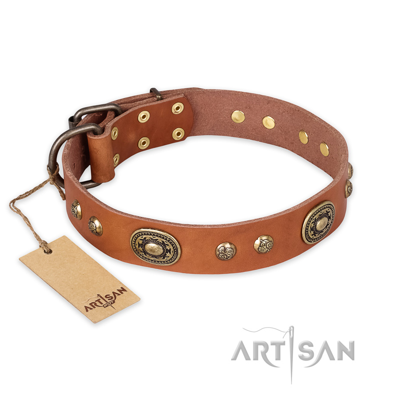 "Stunning Dress" FDT Artisan Tan Leather English Bull Terrier Collar with Old Bronze Look Plates and Studs
