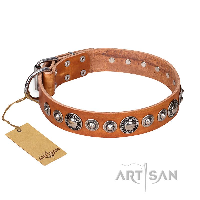 "Daily Chic" FDT Artisan Tan Leather English Bull Terrier Collar with Decorations