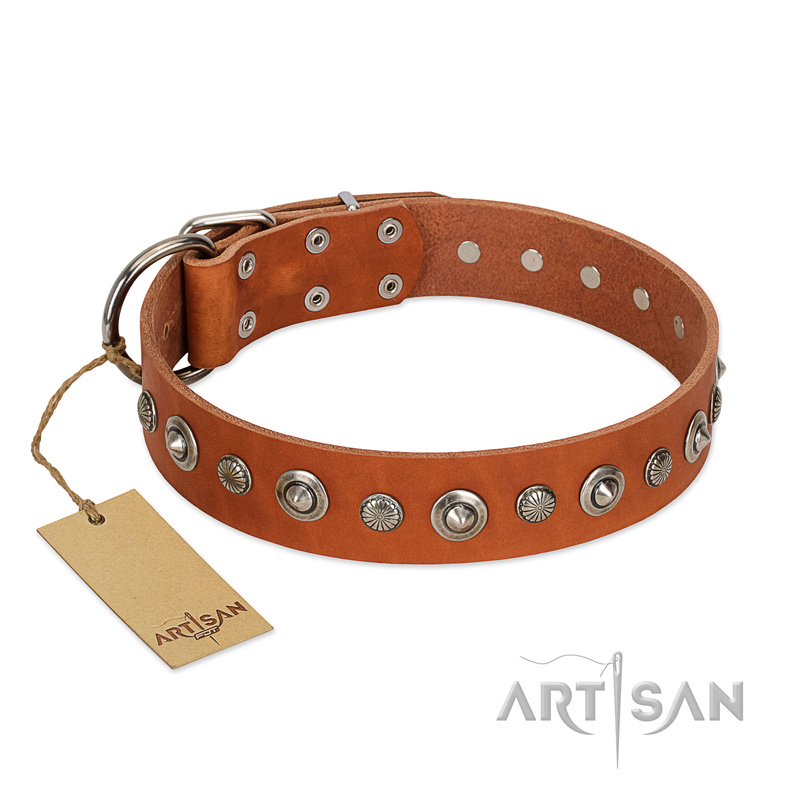"Gorgeous Roundie" FDT Artisan Tan Leather English Bull Terrier Collar with Chrome-plated Circles - Click Image to Close