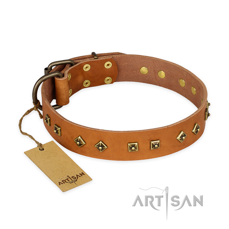 "Autumn Story" FDT Artisan Leather English Bull Terrier Collar with Old Bronze Look Studs