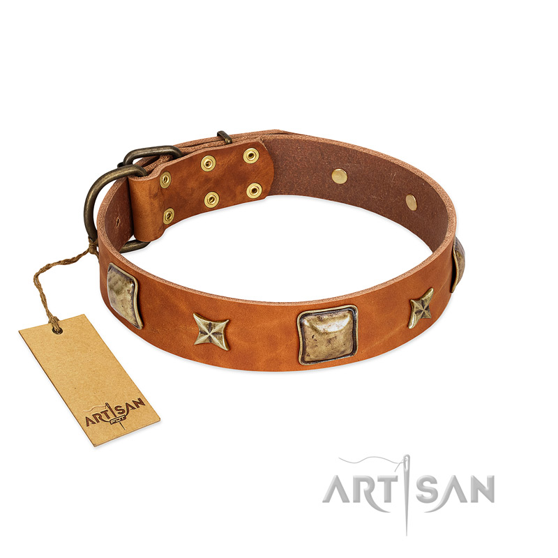 "Celtic Tunes" FDT Artisan Tan Leather English Bull Terrier Collar Adorned with Stars and Squares
