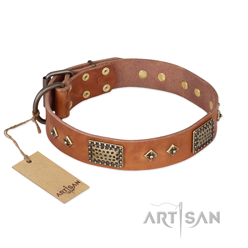 "Catchy Look" FDT Artisan Decorated Tan Leather English Bull Terrier Collar