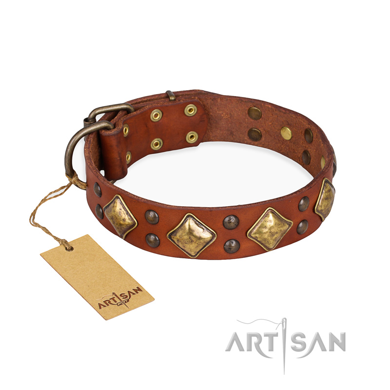 "Flight of Fancy" FDT Artisan Adorned Leather English Bull Terrier Collar - Click Image to Close