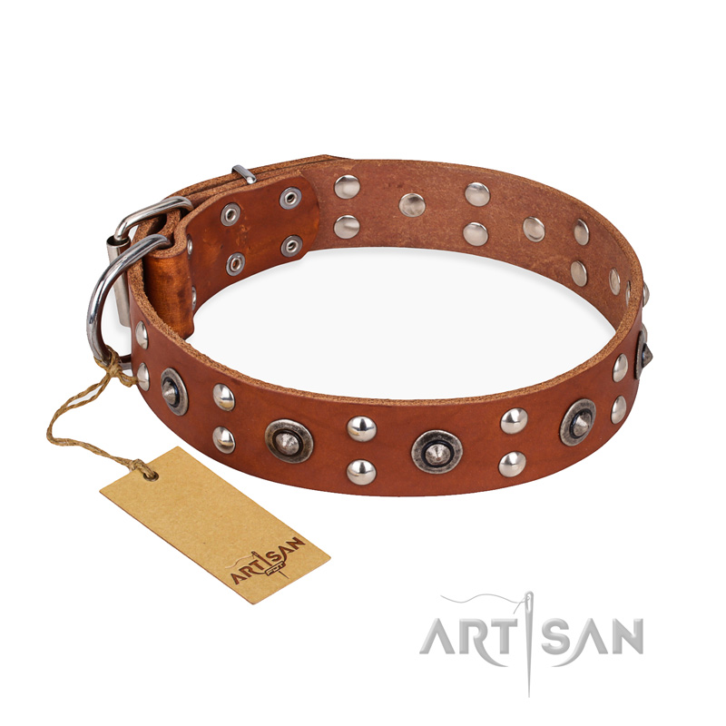 "Silver Elegance" FDT Artisan Decorated Leather English Bull Terrier Collar with Old Silver-Like Plated Studs and Cones