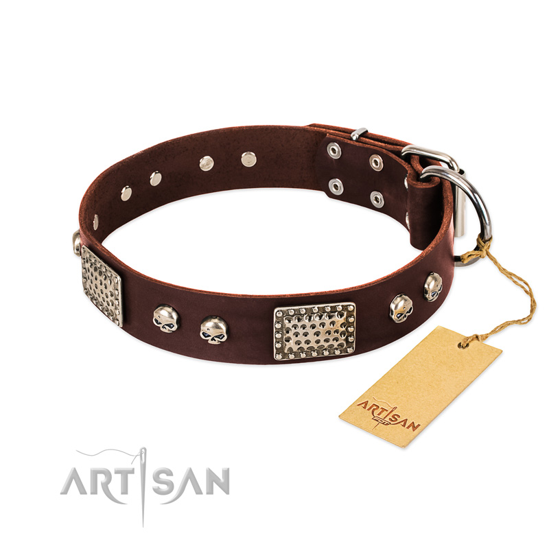 "Pirate Skull" FDT Artisan Brown Leather English Bull Terrier Collar with Old Silver Look Plates and Skulls