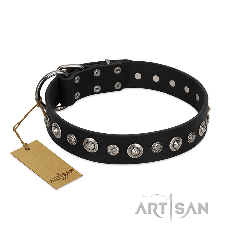 "Genteel Charm" FDT Artisan Black Leather English Bull Terrier Collar with Silver-like Round Conchos