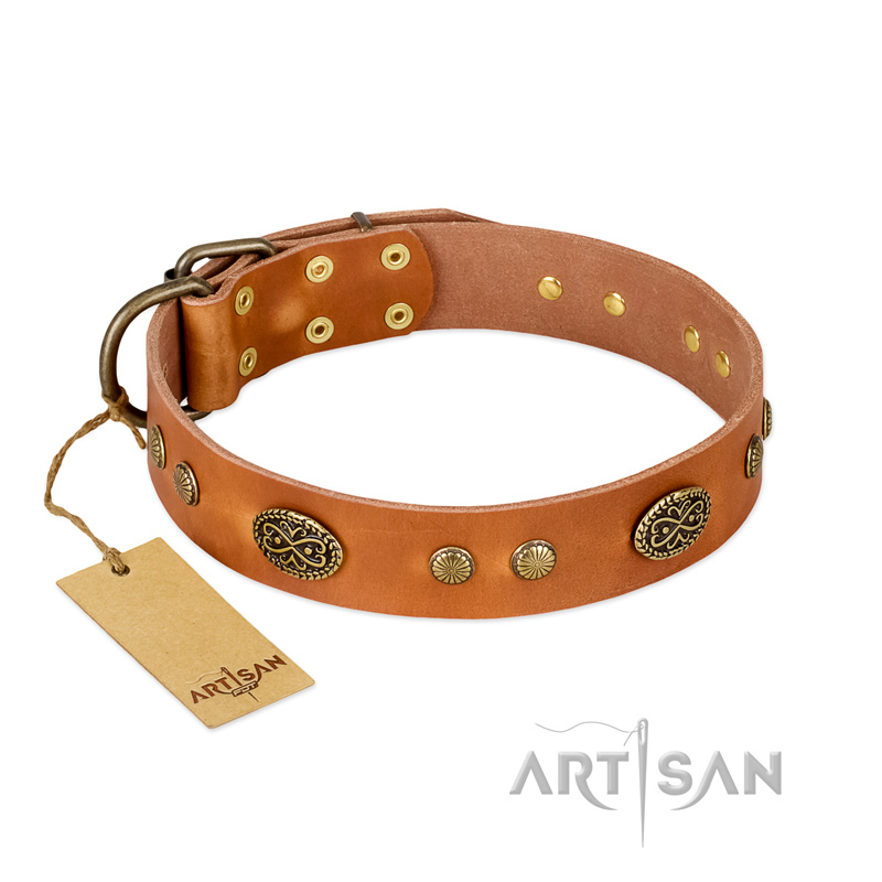 "Sun Beams" FDT Artisan Tan Leather English Bull Terrier Collar with Decorations