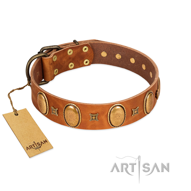 "Glossy Autumn" Designer Handmade FDT Artisan Tan Leather English Bull Terrier Collar with Ovals and Studs
