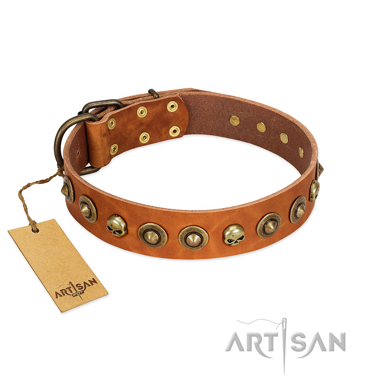 "Prez of the Pack" FDT Artisan Tan Leather English Bull Terrier Collar with Skulls and Brooches
