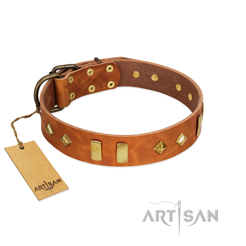 "Woofy Dawn" FDT Artisan Tan Leather English Bull Terrier Collar with Plates and Rhombs