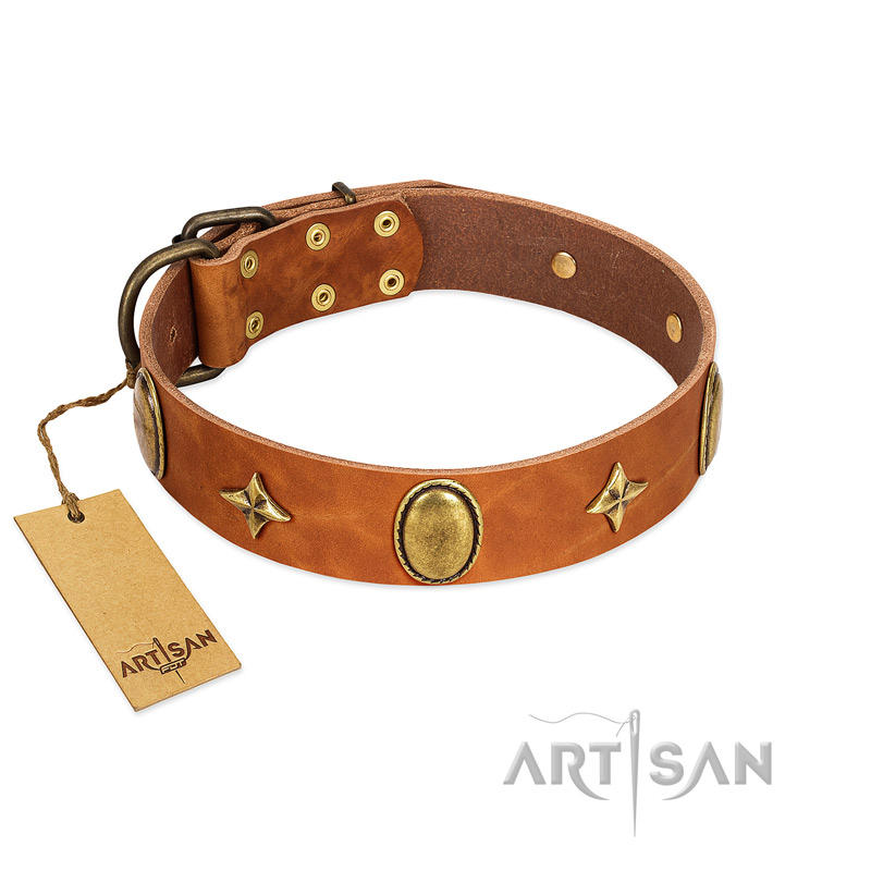 "Space Warrior" FDT Artisan Tan Leather English Bull Terrier Collar with Ovals and Stars