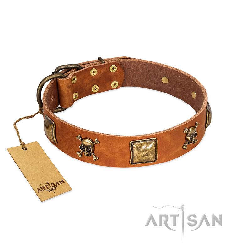 "Knights Templar" FDT Artisan Tan Leather English Bull Terrier Collar with Skulls and Crossbones Combined with Squares