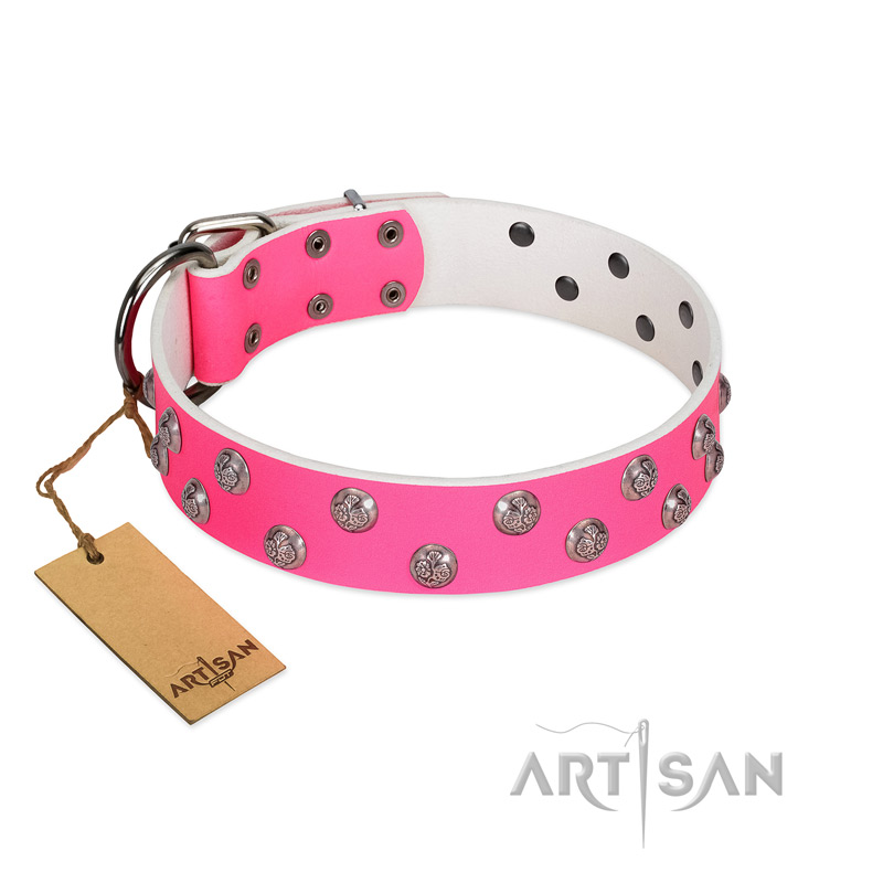 daisy dog accessories
