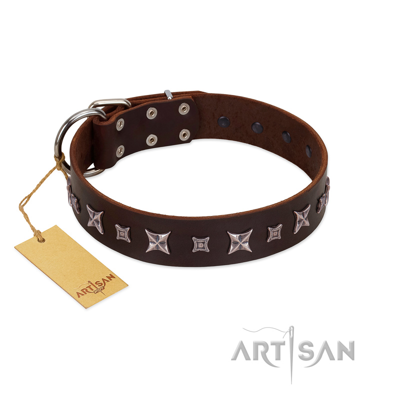 "Stellar Fairy " FDT Artisan Brown Leather English Bull Terrier Collar with Chrome-plated Star-like Decorations