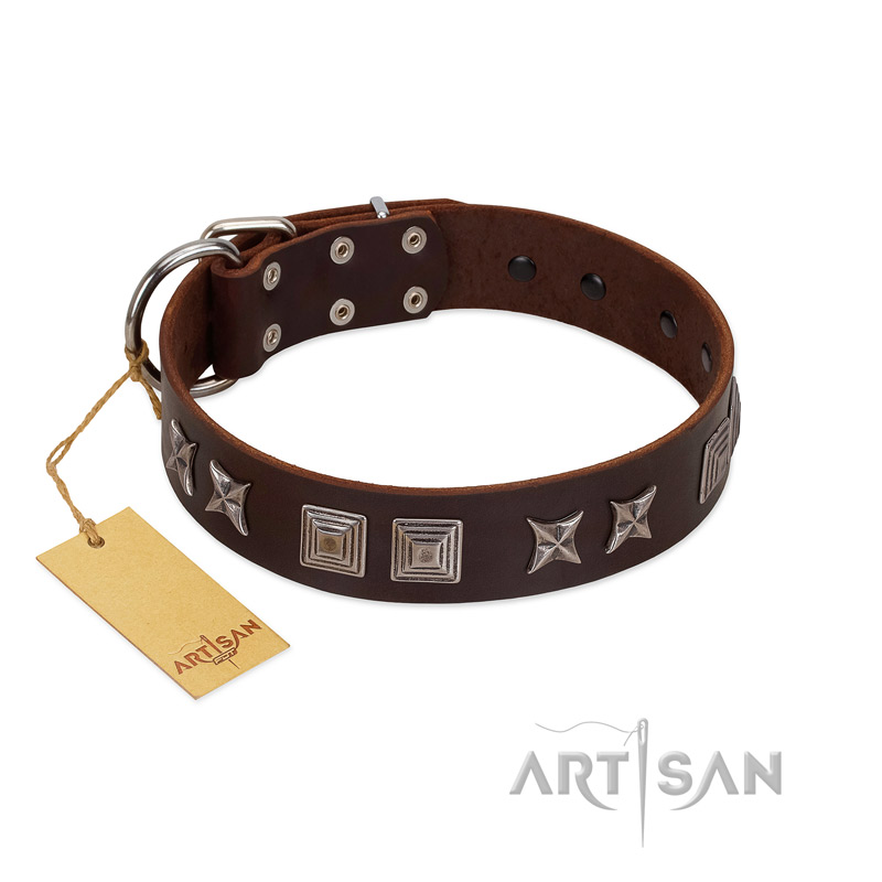 "Needle Stories" Modern FDT Artisan Brown Leather English Bull Terrier Collar with Square Engraved Plates and Four-Point Stars