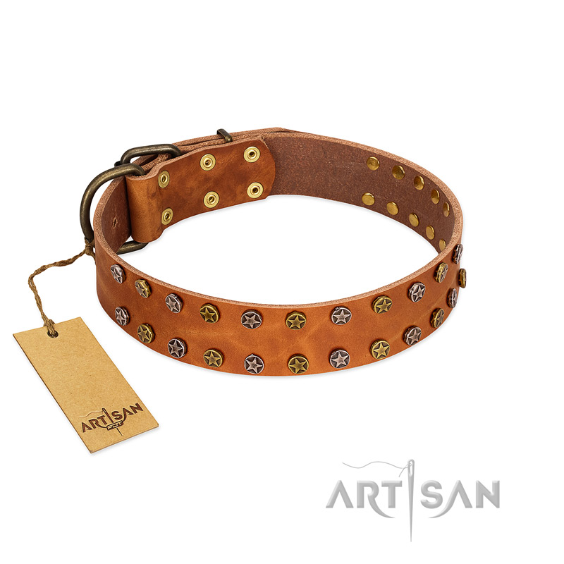 "Walk and Shine" FDT Artisan Tan Leather English Bull Terrier Collar with Antiqued Studs