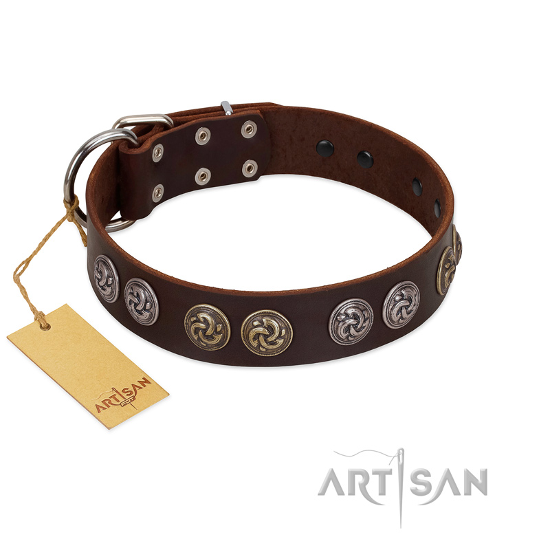 "Treasure Hunter" FDT Artisan Brown Leather English Bull Terrier Collar with Old-Bronze-like and Silvery Medallions