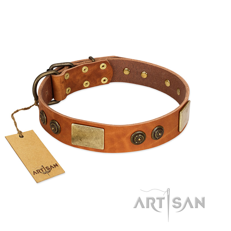 "Bronze Century" FDT Artisan Tan Leather English Bull Terrier Collar with Plates and Brooches with Cool Ornament