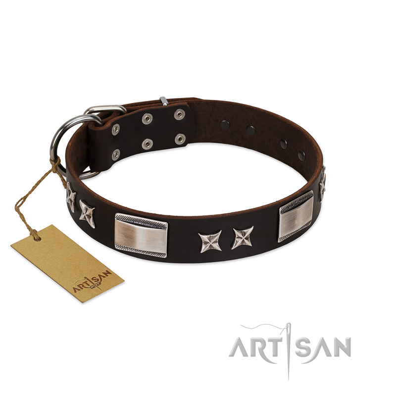 "Satin Beauts" FDT Artisan Brown Leather English Bull Terrier Collar with Stars and Plates