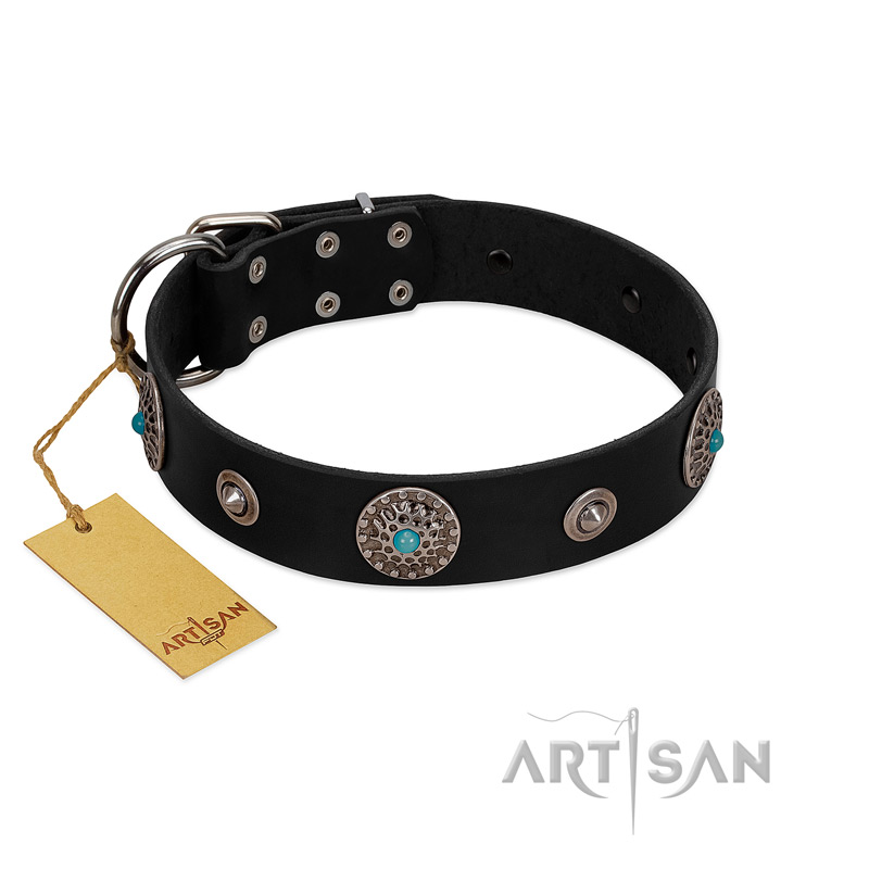 "Blue Gems" FDT Artisan Black Leather English Bull Terrier Collar with Chrome Plated Studs and Conchos