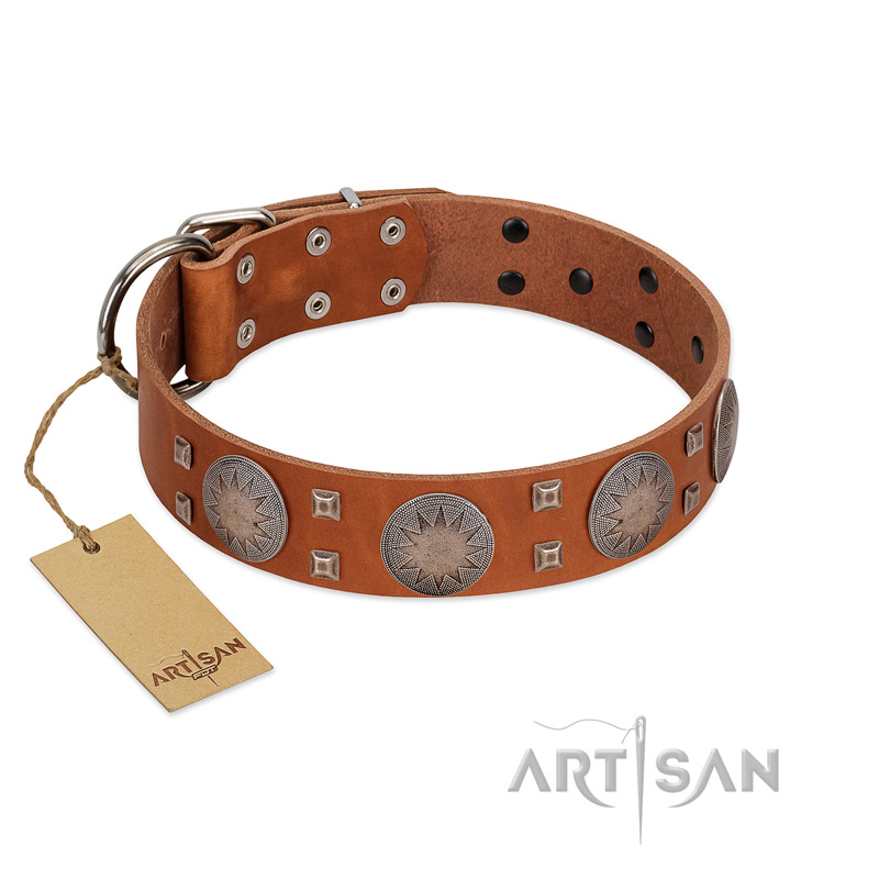 "Sun Rise Noon" FDT Artisan Tan Leather English Bull Terrier Collar with Unique Design