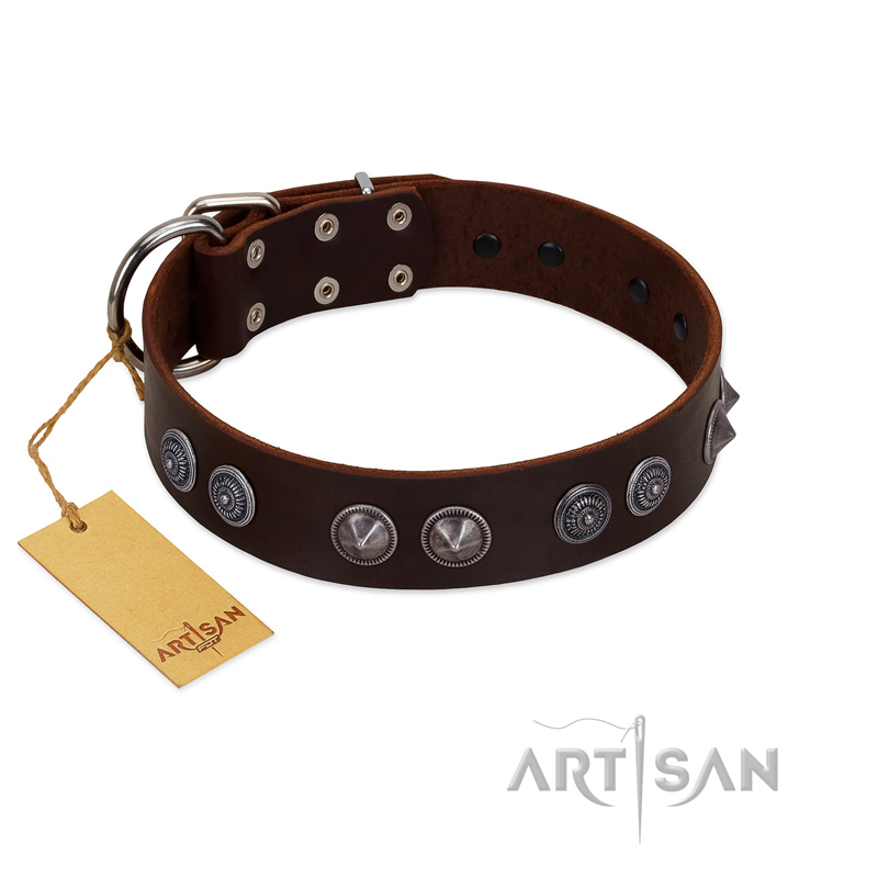 "King Arthur" FDT Artisan Brown Leather English Bull Terrier Collar with Spiky Plates
