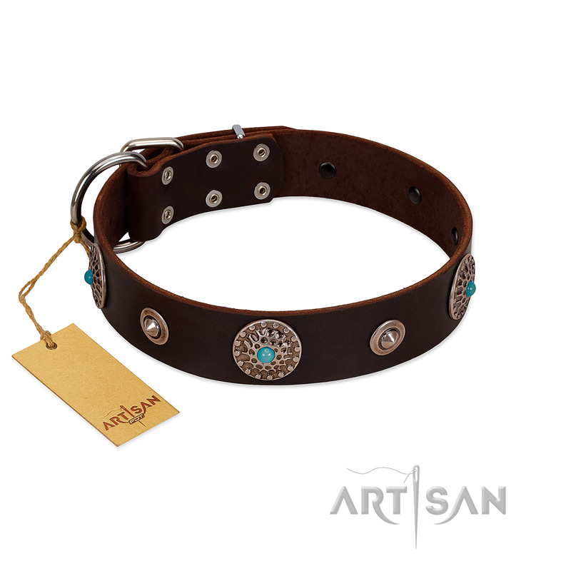 "Magic Stones" FDT Artisan Brown Leather English Bull Terrier Collar with Chrome Plated Brooches and Studs - Click Image to Close