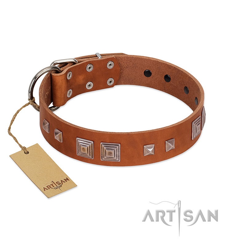 "Egyptian Gifts" Handmade FDT Artisan Tan Leather English Bull Terrier Collar with Chrome-plated Pyramids