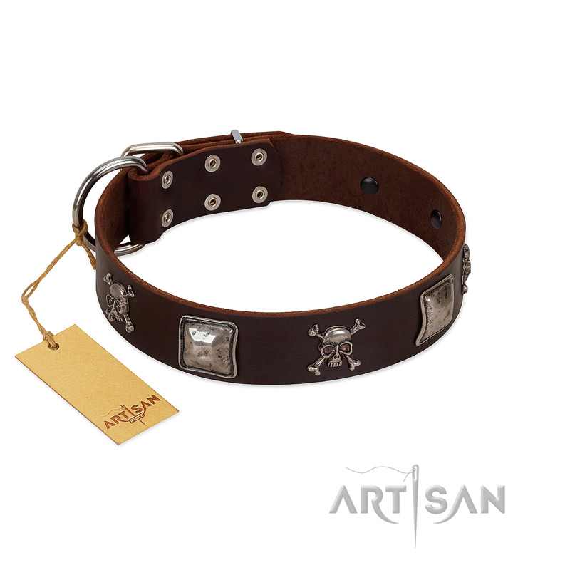 "Nut-Brown Finery" Embellished FDT Artisan Brown Leather English Bull Terrier Collar with Chrome Plated Crossbones and Plates