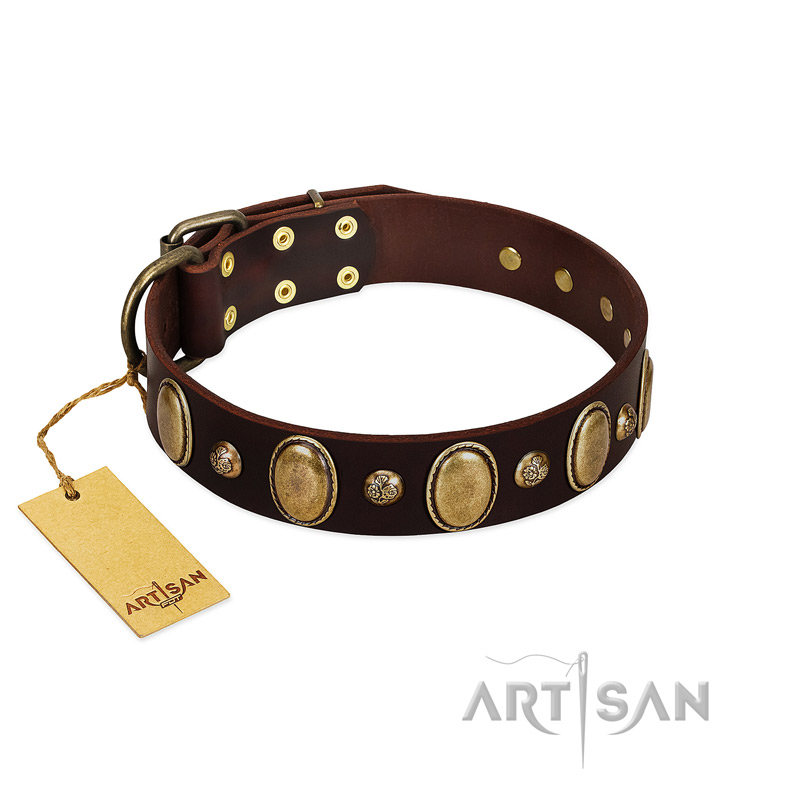 "Natural Grace" FDT Artisan Handmade Decorated Brown Leather English Bull Terrier Collar