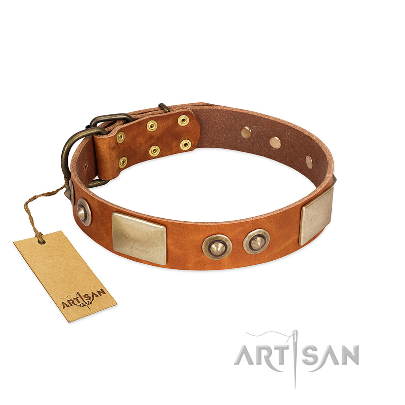 "Perfect Blend" FDT Artisan Tan Leather English Bull Terrier Collar 1 1/2 inch (40 mm) wide