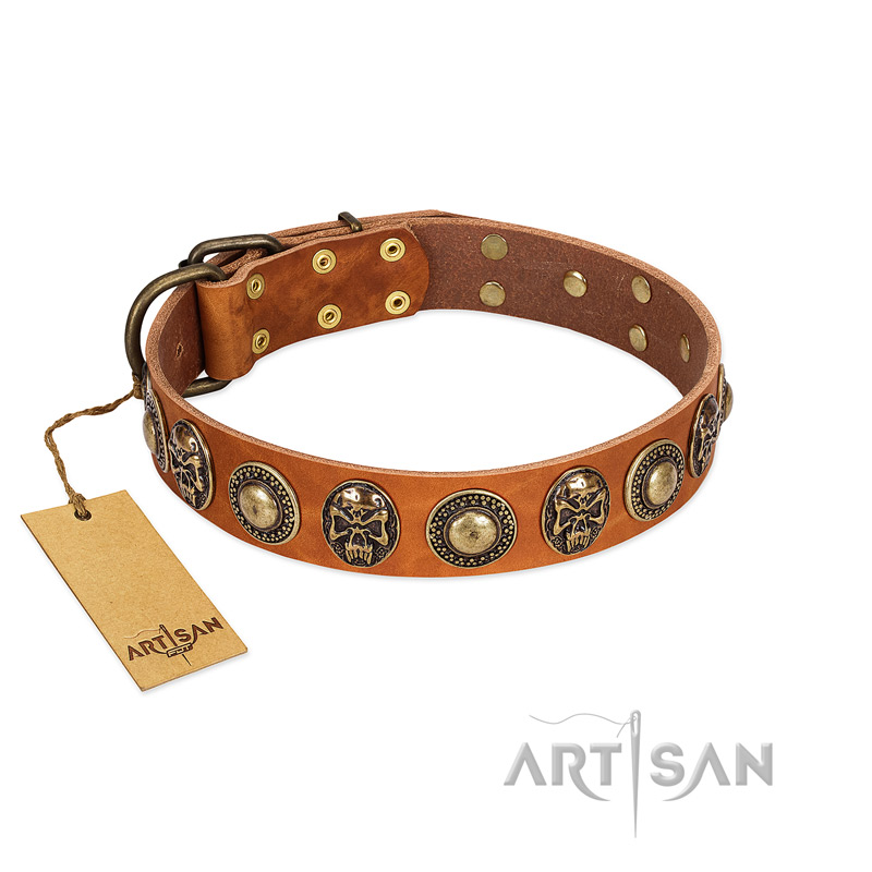 "Golden Epoch" FDT Artisan Tan Leather English Bull Terrier Collar with Old Bronze-plated Medallions and Conchos