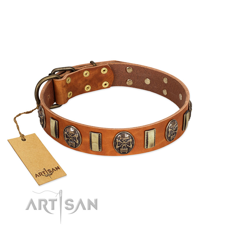 "Strike of Rock" FDT Artisan Tan Leather English Bull Terrier Collar with Plates and Medallions with Skulls