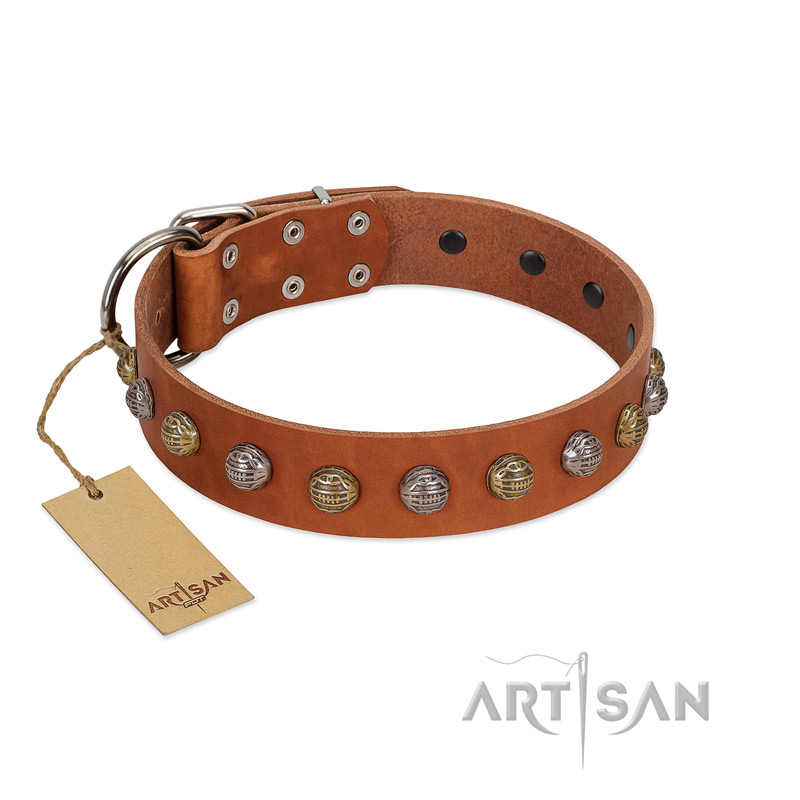 "Dogue-Vogue" FDT Artisan Tan Leather English Bull Terrier Collar with Engraved Chrome-plated Studs
