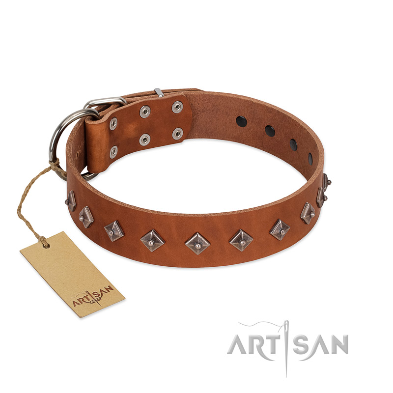 "Broadway" Handmade FDT Artisan Tan Leather English Bull Terrier Collar with Dotted Pyramids