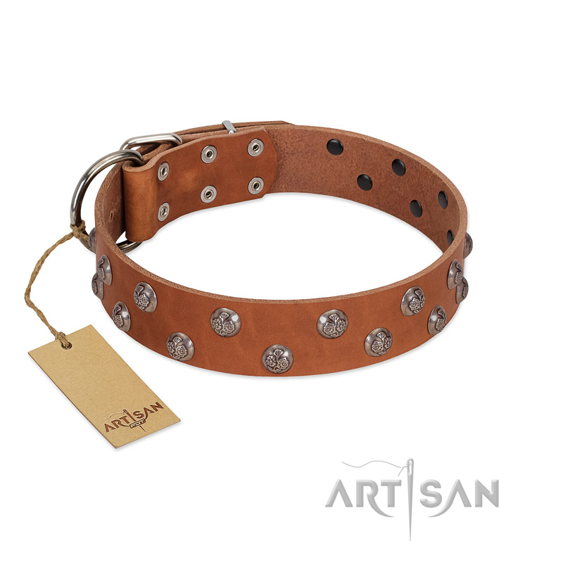 "Waltz of the Flowers" Handmade FDT Artisan Tan Leather English Bull Terrier Collar with Chrome-plated Engraved Studs
