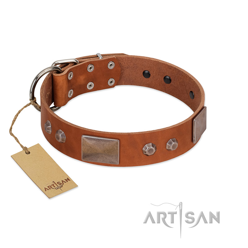 "Great Obelisk" Handcrafted FDT Artisan Tan Leather English Bull Terrier Collar with Large Plates and Pyramids