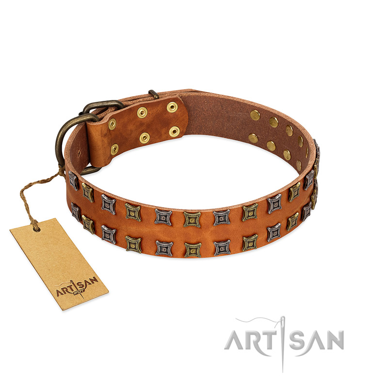 "Terra-cotta" FDT Artisan Tan Leather English Bull Terrier Collar with Two Rows of Studs