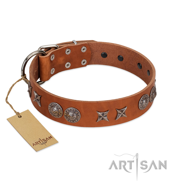 "Splendid Armor" Premium Quality FDT Artisan Tan Designer English Bull Terrier Collar with Shields and Stars