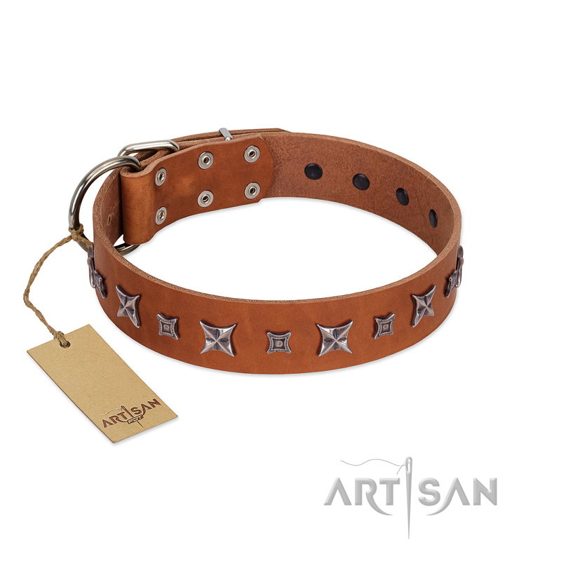 "Star Shine" Exclusive FDT Artisan Tan Leather English Bull Terrier Collar with Silver-Like Adornments