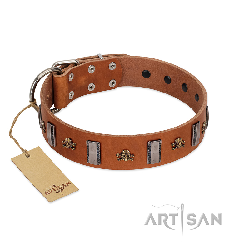 "Golden Crossbones" Handmade FDT Artisan Tan Leather English Bull Terrier Collar with Plates and Skulls
