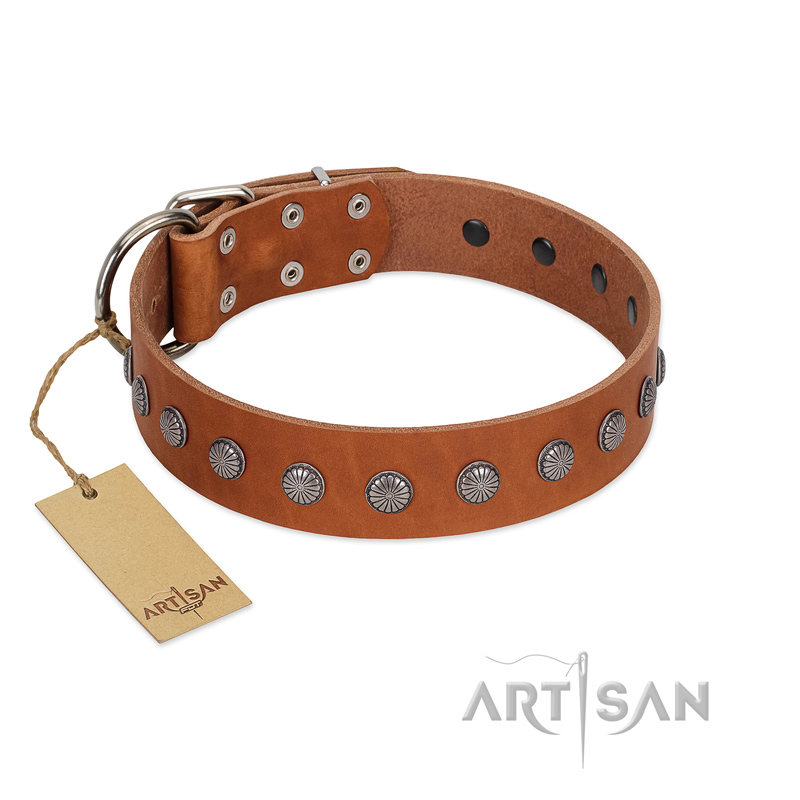 "Little Floret" Fashionable FDT Artisan Tan Leather English Bull Terrier Collar with Silver-Like Adornments