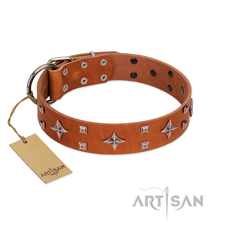 "Tawny Beauty" FDT Artisan Tan Leather English Bull Terrier Collar Adorned with Stars and Tiny Squares - Click Image to Close