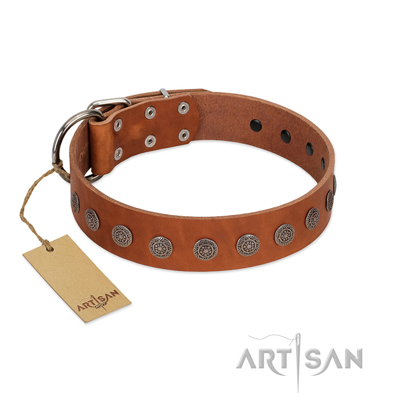 "Lucky Star" Handmade FDT Artisan Designer Tan Leather English Bull Terrier Collar with Round Plates
