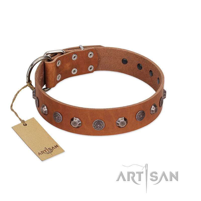 "Silver Age" Fashionable FDT Artisan Tan Leather English Bull Terrier Collar with Silver-Like Studs