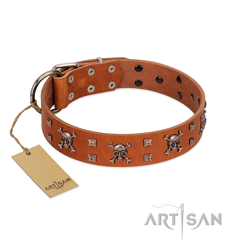 "Rebellious Nature" FDT Artisan Tan Leather English Bull Terrier Collar Embellished with Crossbones and Square Studs