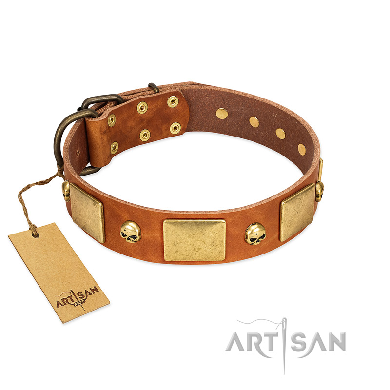 "Mutt The Daredevil" FDT Artisan Tan Leather English Bull Terrier Collar with Old Bronze-like Skulls and Plates