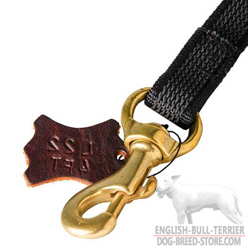 Solid Brass Snap Hook on Strong Nylon Dog Leash